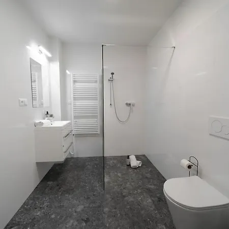 Apartmán 3b Bright Beautiful Newly Renovated 3br Praha