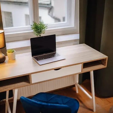 3b Bright Beautiful Newly Renovated 3br * Praha