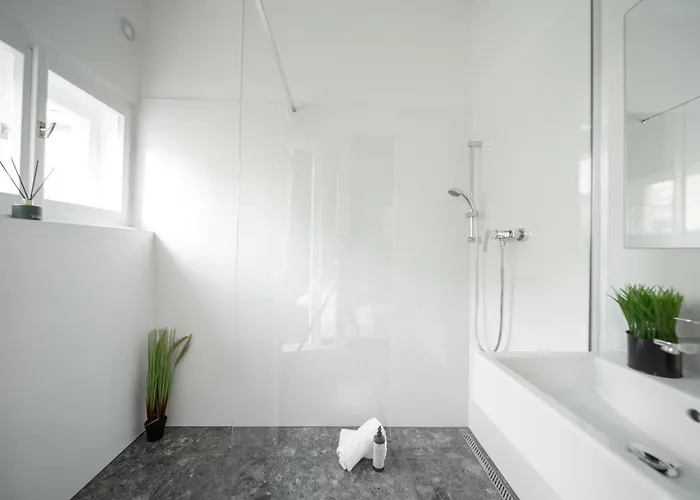 3b Bright Beautiful Newly Renovated 3br 프라하